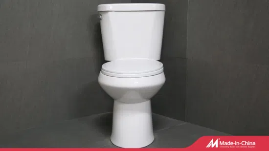 Chine Articles sanitaires les 10 meilleures marques Guangzhou Upflush Made ensemble de toilettes assis